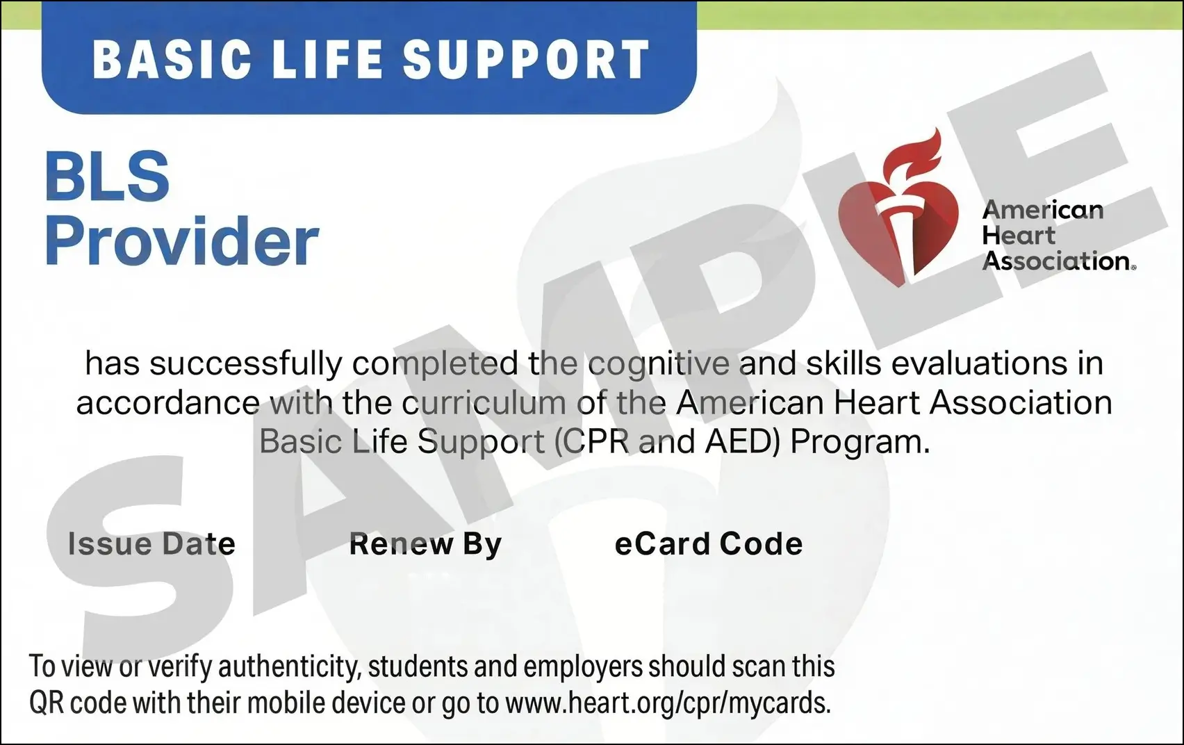 Sample American Heart Association AHA BLS CPR Card Certification from CPR Certification Cincinnati